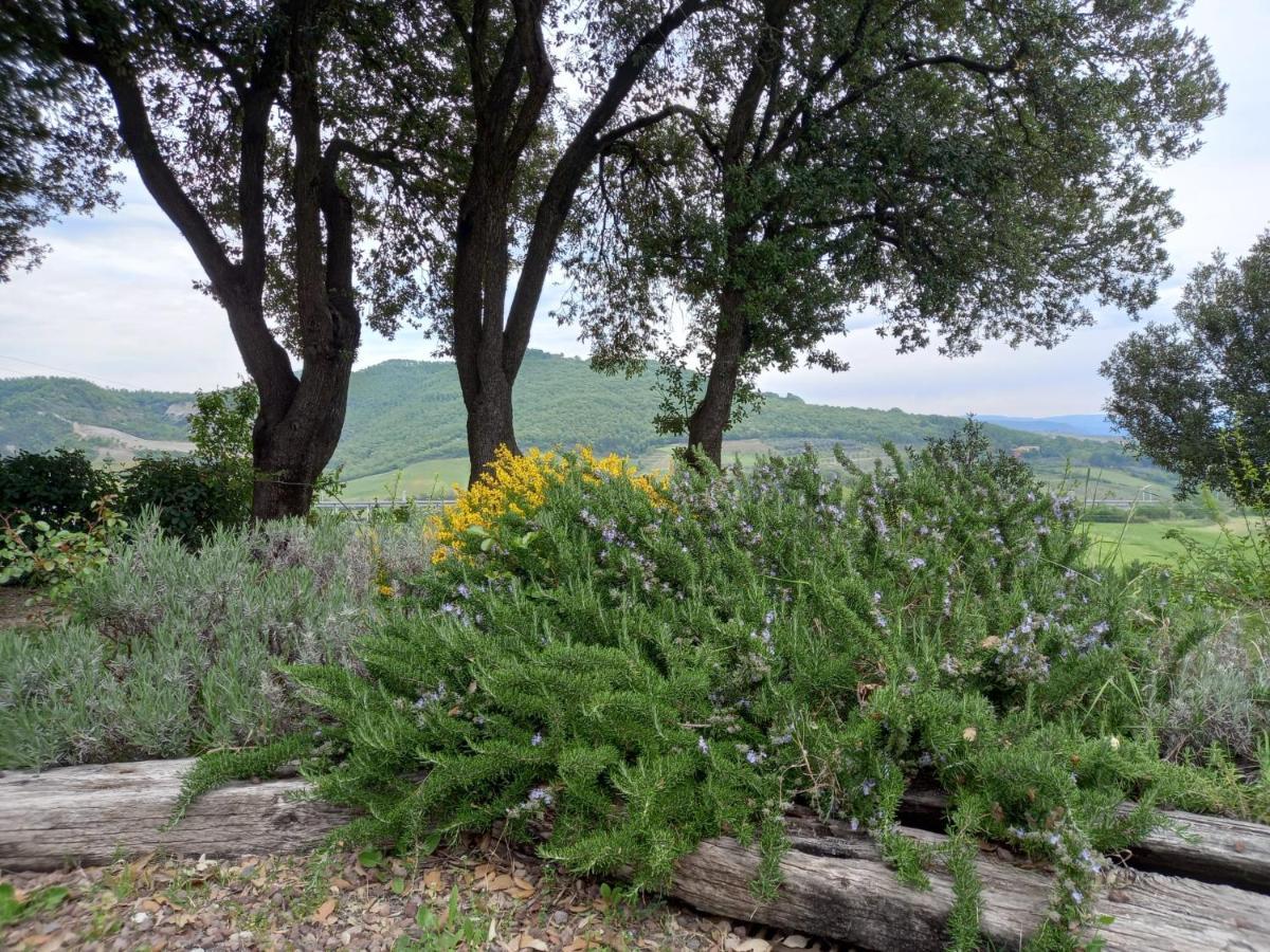 Agriturismo Riparossa Allerona Bagian luar foto