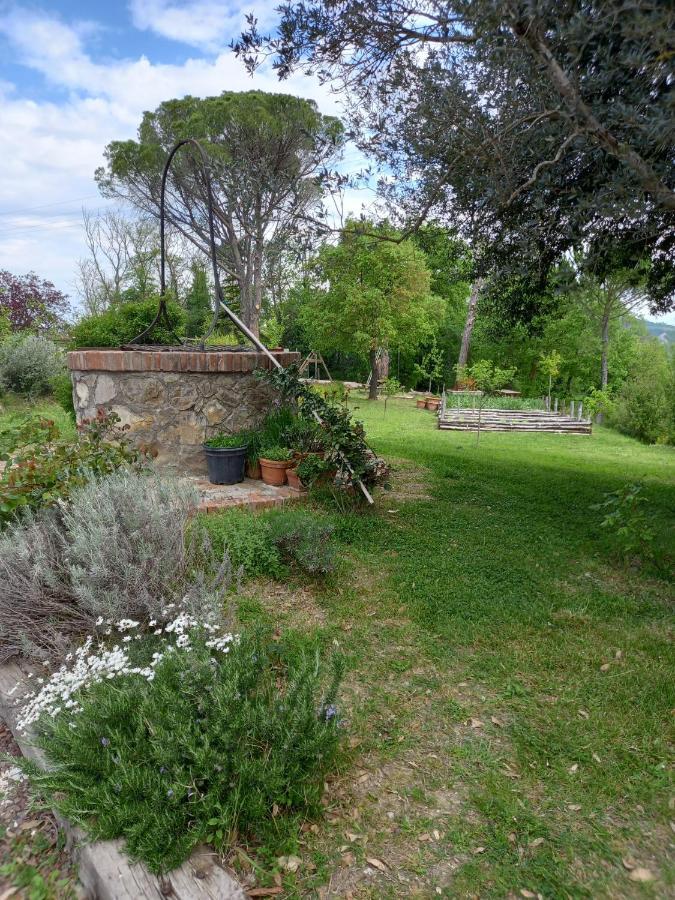 Agriturismo Riparossa Allerona Bagian luar foto