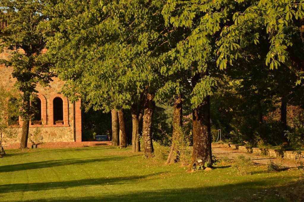 Agriturismo Riparossa Allerona Bagian luar foto