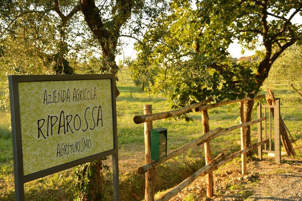 Agriturismo Riparossa Allerona Bagian luar foto