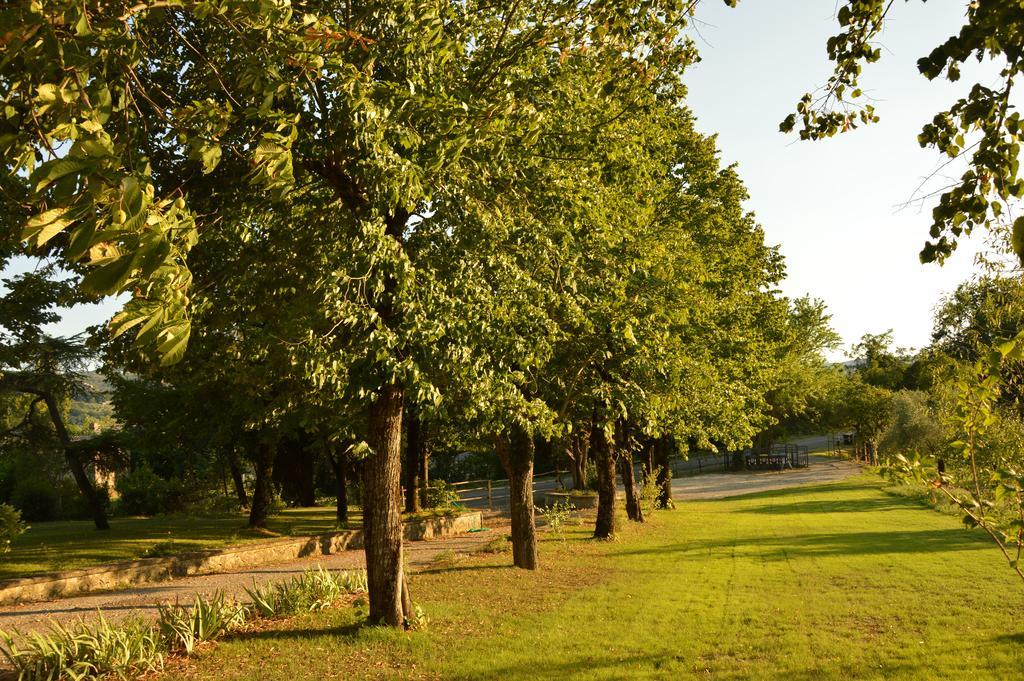 Agriturismo Riparossa Allerona Bagian luar foto