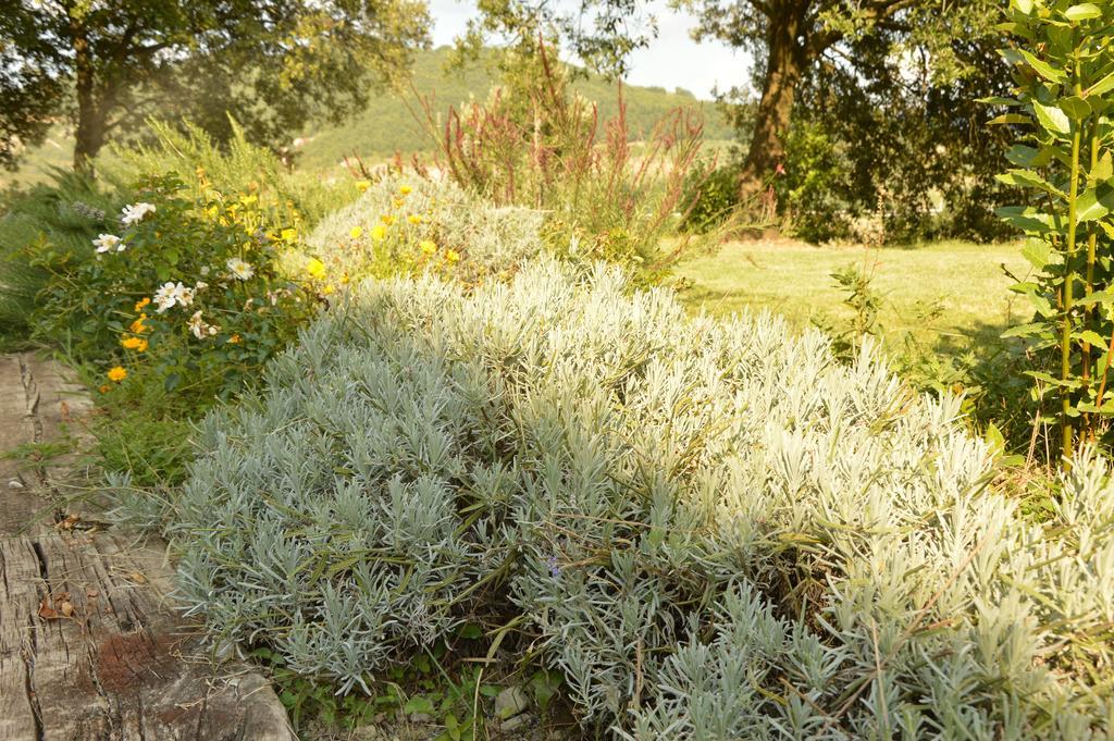 Agriturismo Riparossa Allerona Bagian luar foto