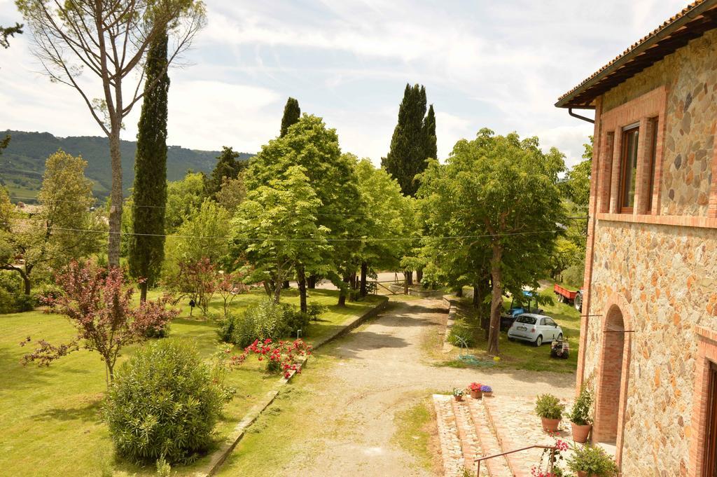 Agriturismo Riparossa Allerona Bagian luar foto