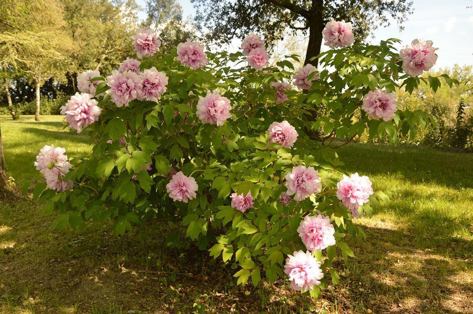 Agriturismo Riparossa Allerona Bagian luar foto