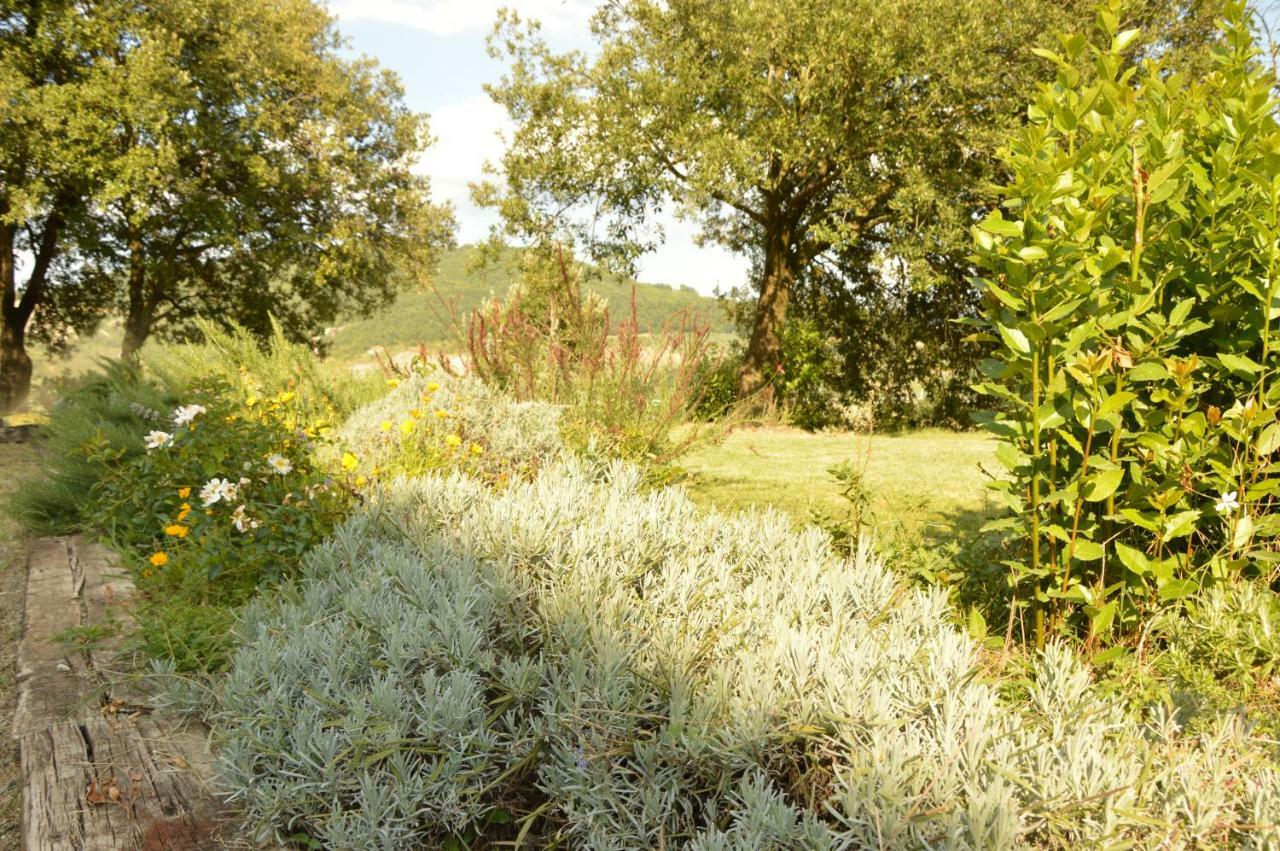 Agriturismo Riparossa Allerona Bagian luar foto