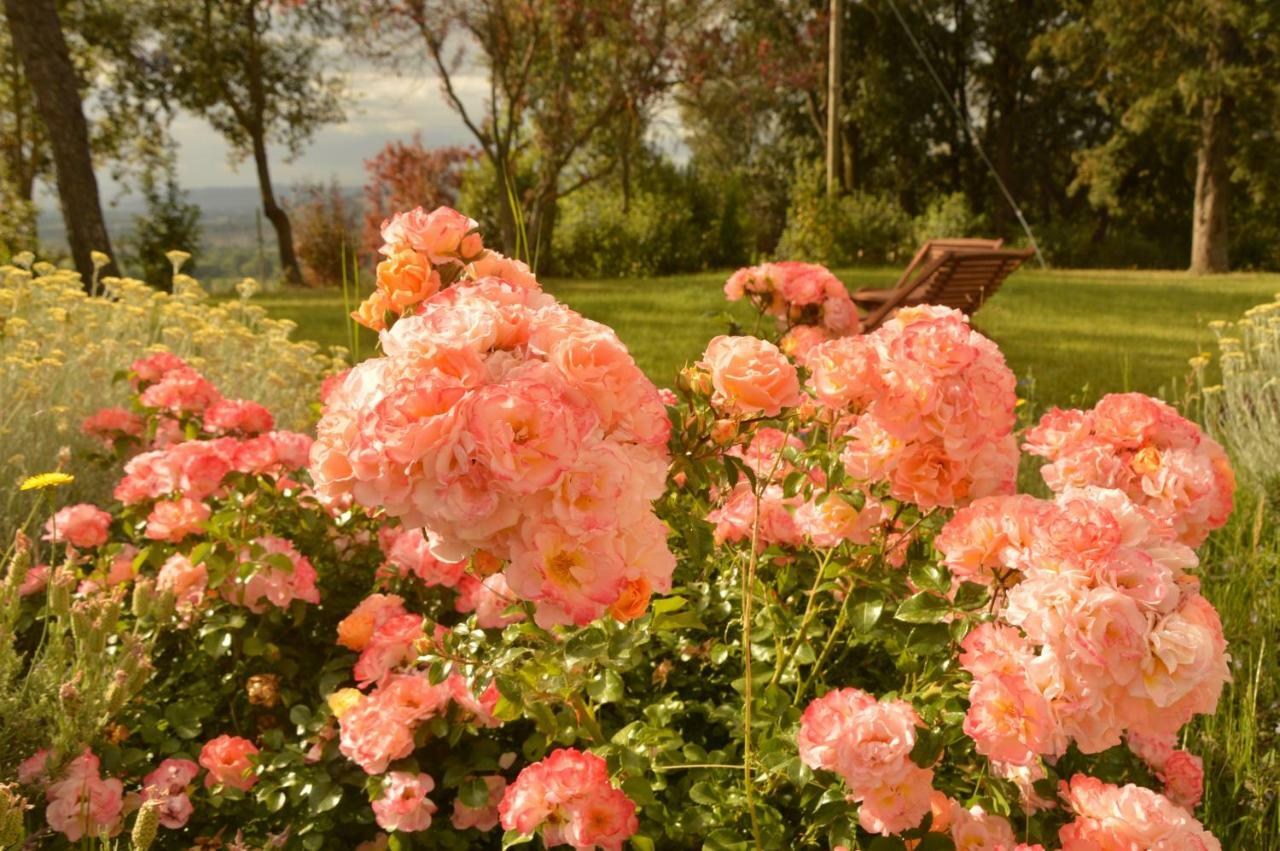 Agriturismo Riparossa Allerona Bagian luar foto